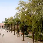 Hotel Ali